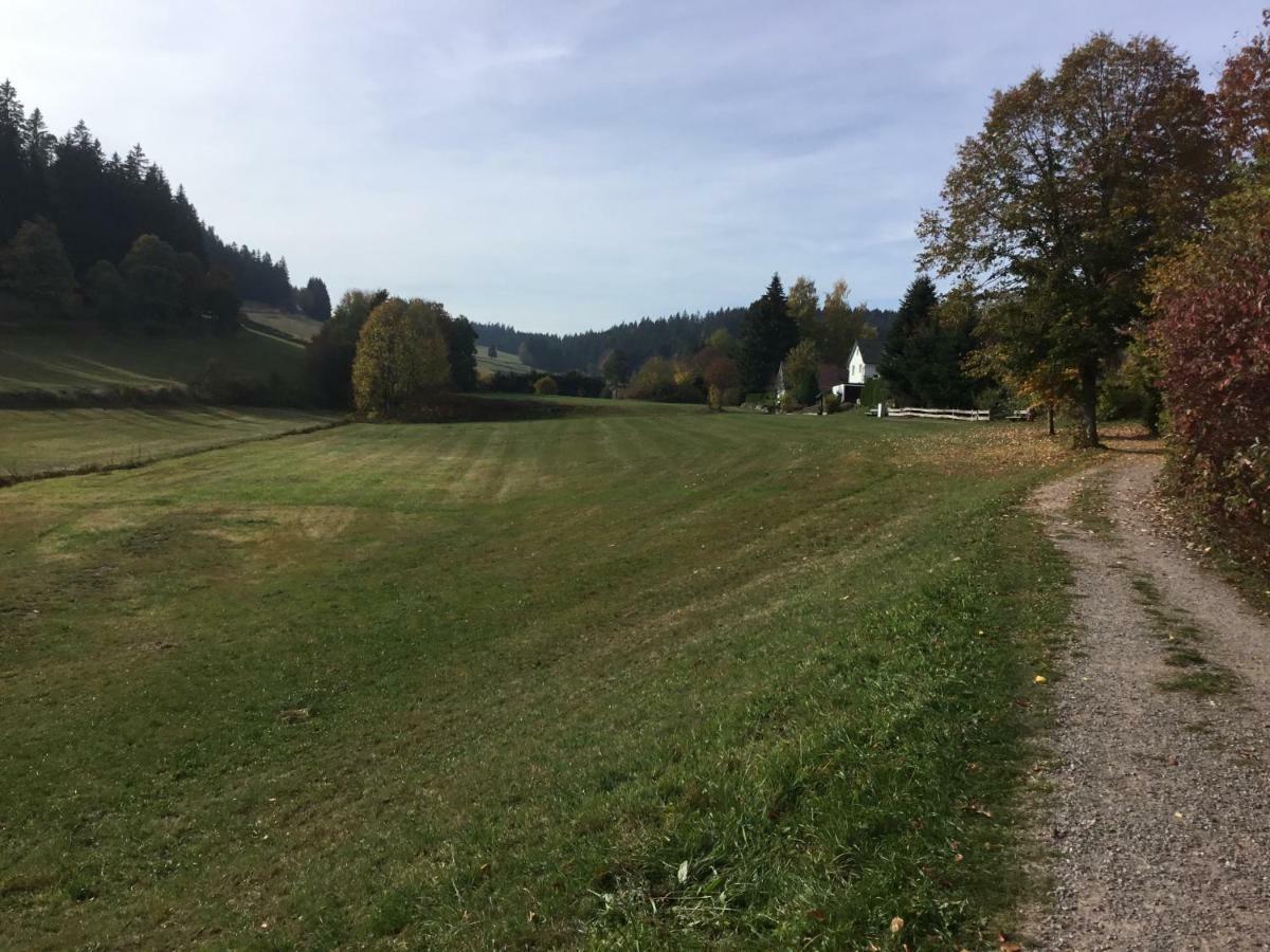 Gemuetliche 1Z Fewo In Schoenwald Mit Balkon, Schwimmbad, Sauna, Fitness ภายนอก รูปภาพ